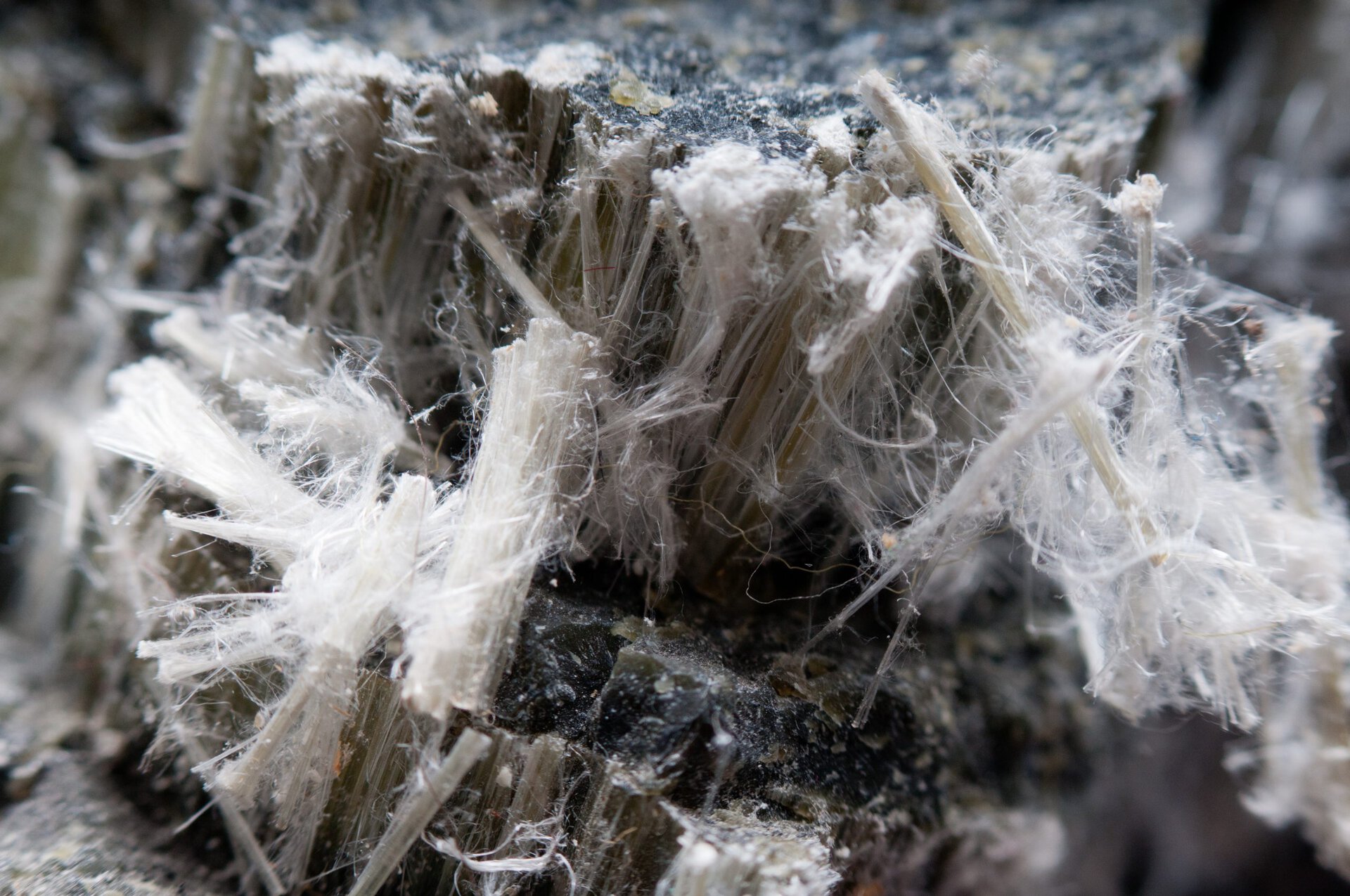 Close Up Image Of Asbestos Fibers