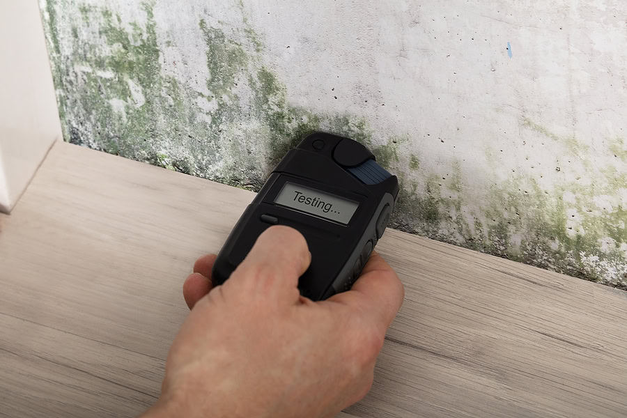 Moldy Wall And Mold Testing Equipment