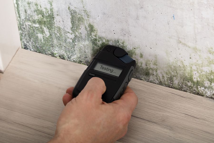 Mold Testing In Progress