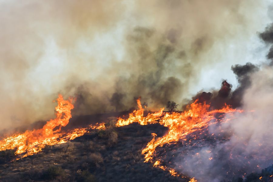 Wildfire & Smoke