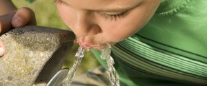 Little boy drinking from a fountain