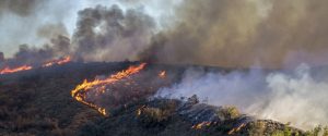 Fire exposure on hill area