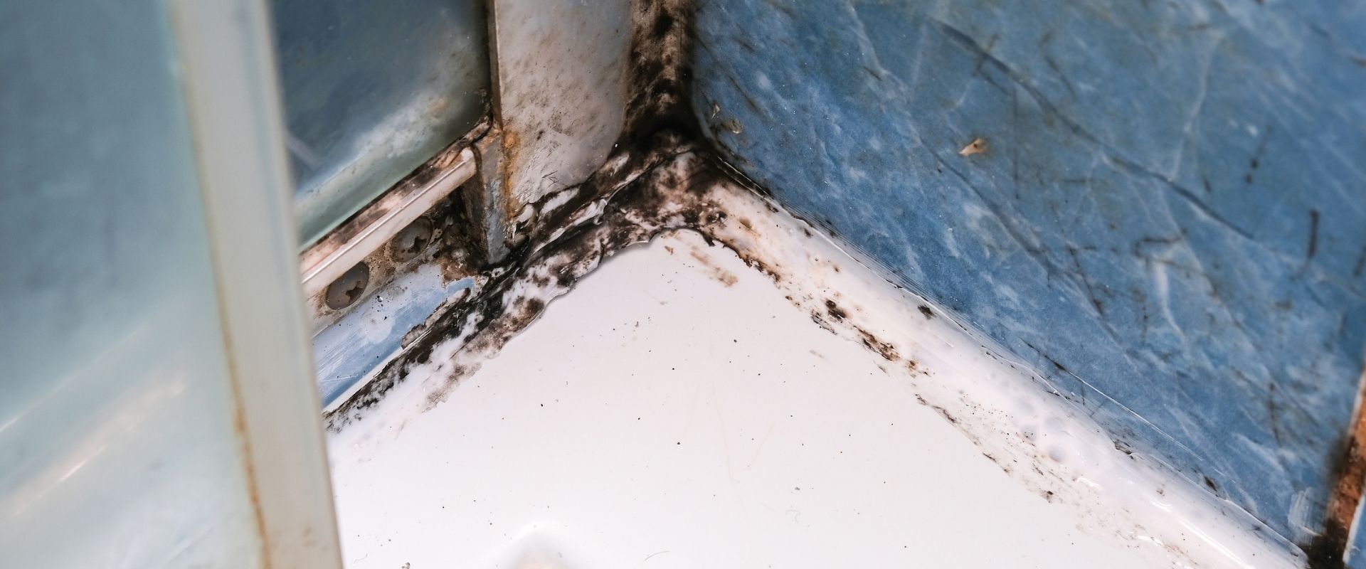 Close up image of the corner of a shower with black mold