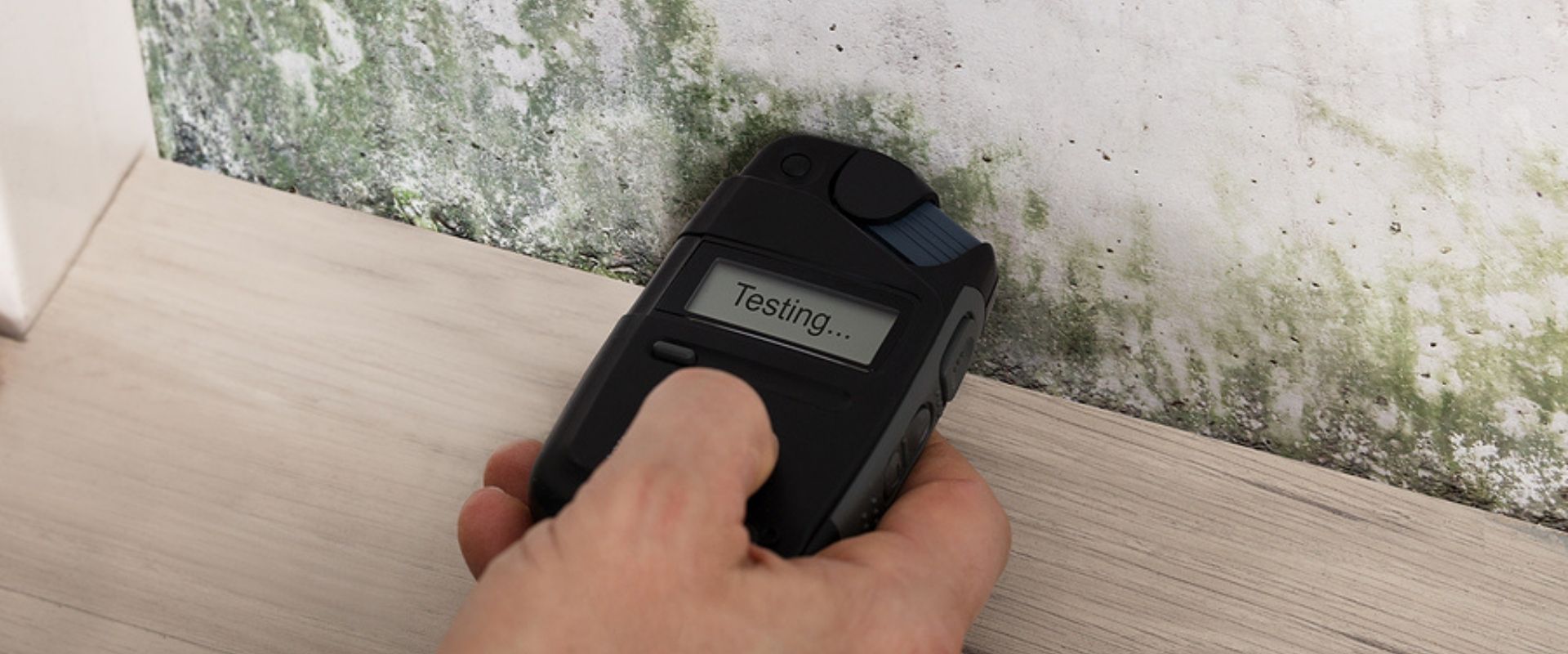 Preventing Cladosporium Contamination In Commercial