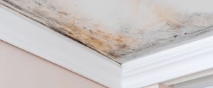 A ceiling with mold